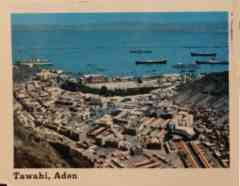 ���� ������ ��� ��� ����